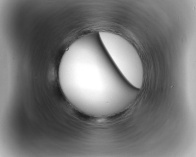 X0000099380173200805081207