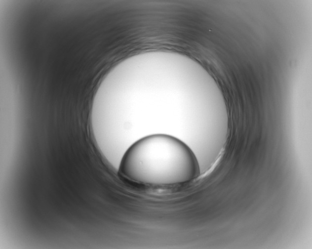 X0000099380174200805081207