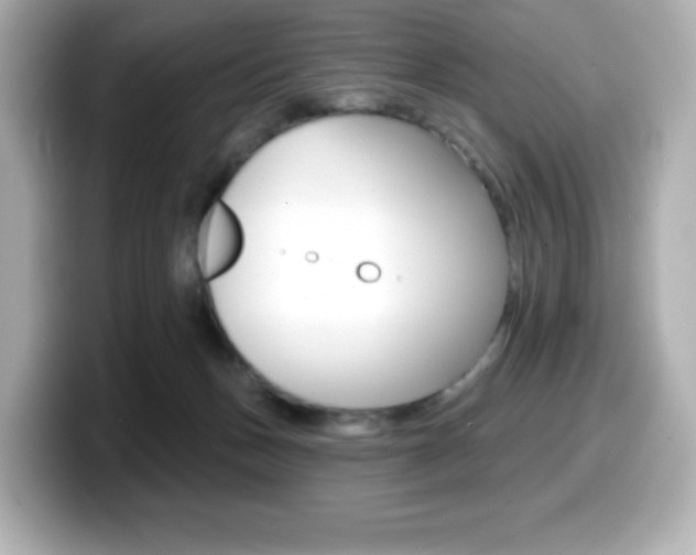 X0000099380175200805081207