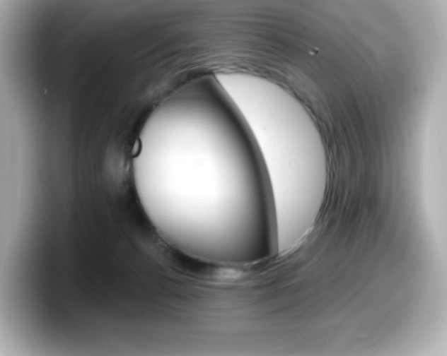 X0000099380176200805081207