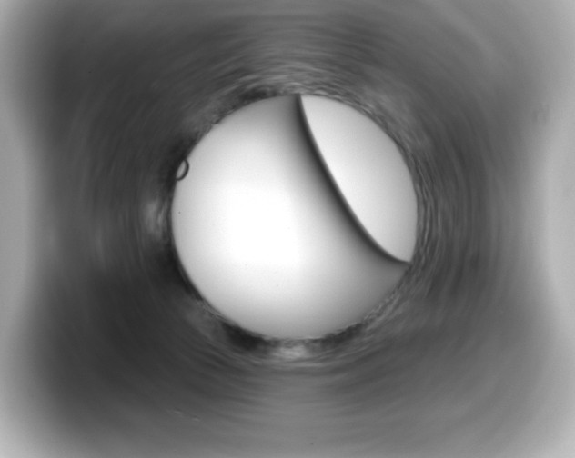 X0000099380177200805081207
