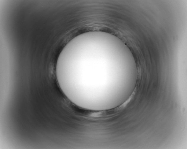X0000099380178200805081207
