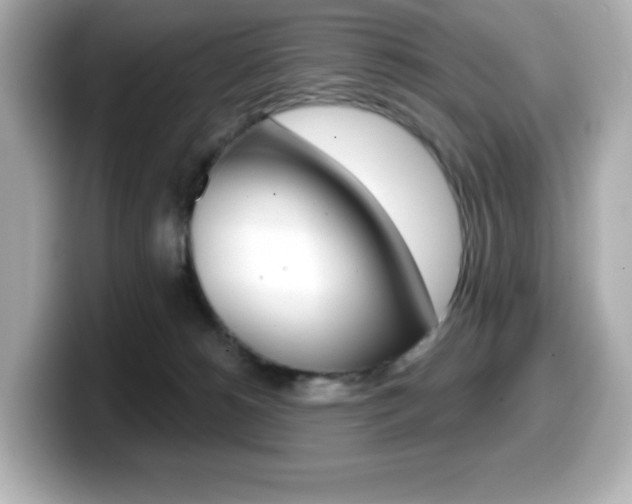 X0000099380180200805081207
