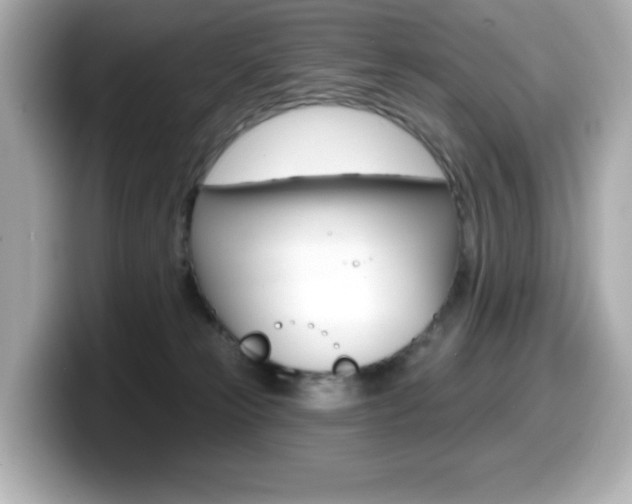 X0000099380181200805081207