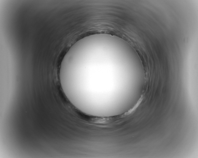 X0000099380182200805081207