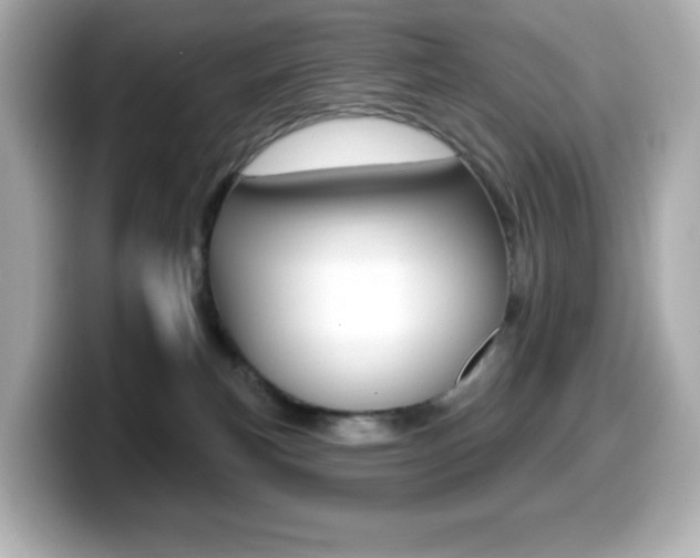 X0000099380183200805081207