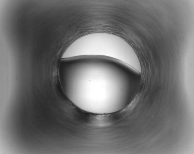 X0000099380184200805081207