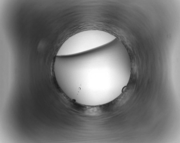 X0000099380185200805081207