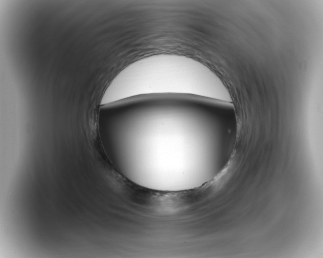 X0000099380186200805081207