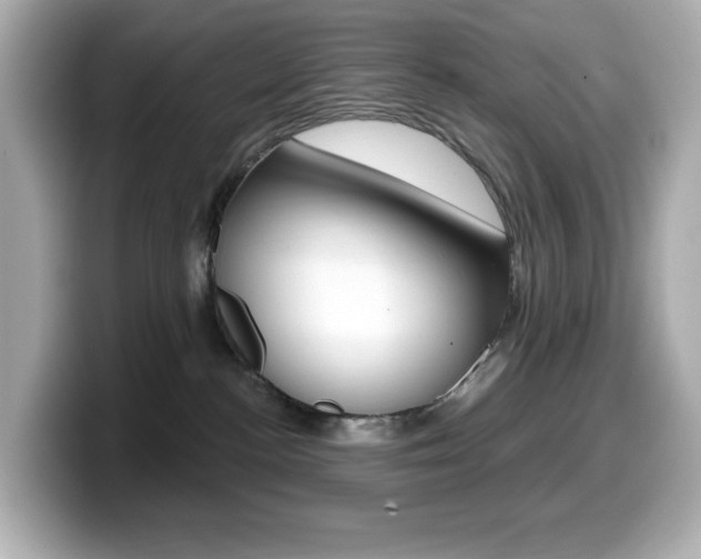 X0000099380188200805081207
