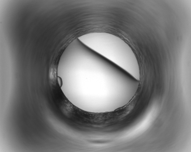 X0000099380191200805081207