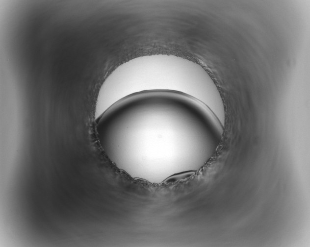 X0000099380192200805081207