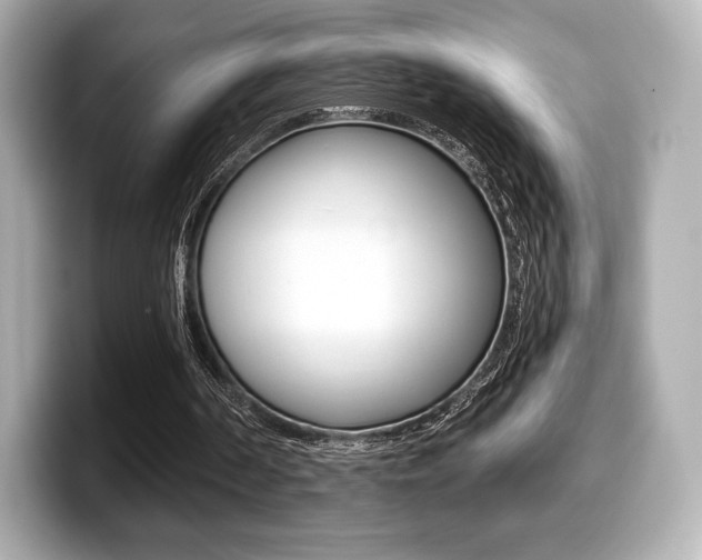 X0000099380194200805081206