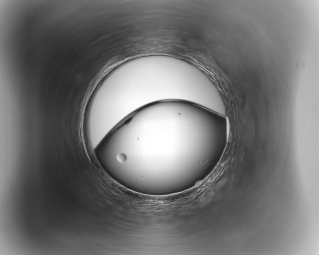 X0000099380195200805081206