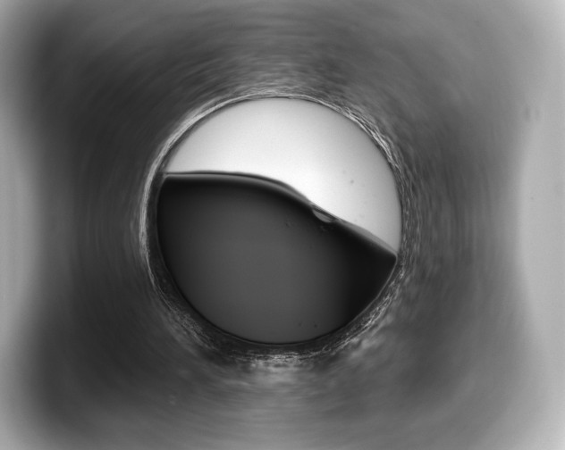 X0000099380196200805081206