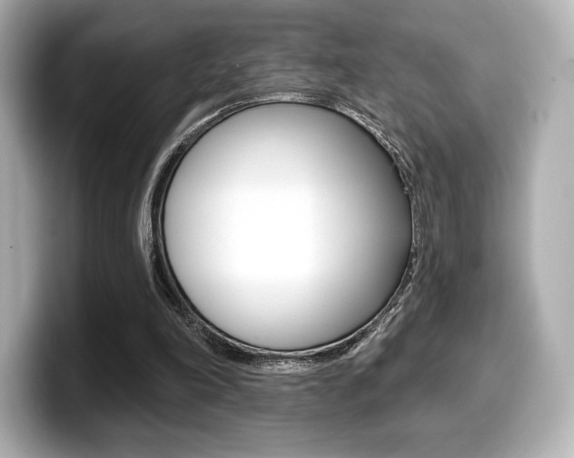 X0000099380198200805081206