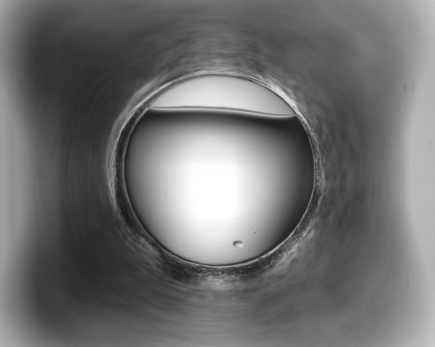 X0000099380199200805081206