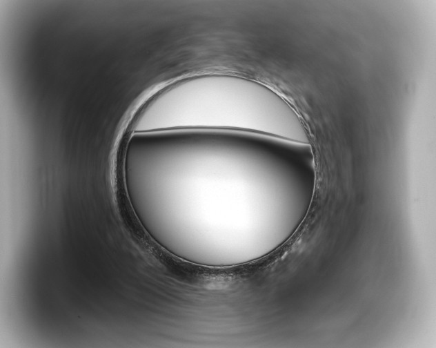 X0000099380200200805081206
