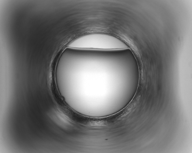X0000099380202200805081206
