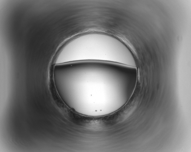 X0000099380204200805081206