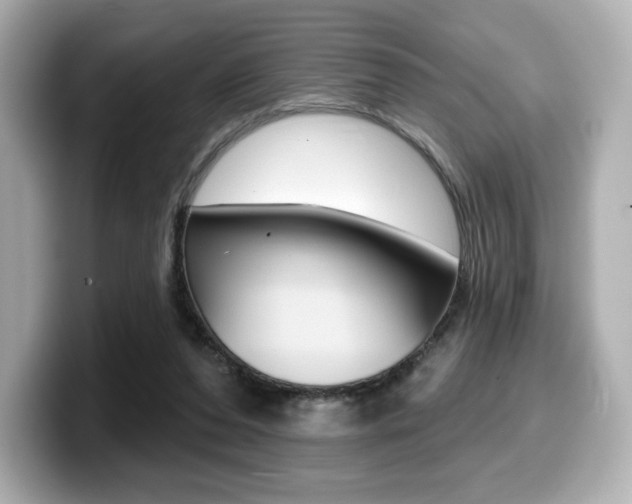 X0000099380208200805081206