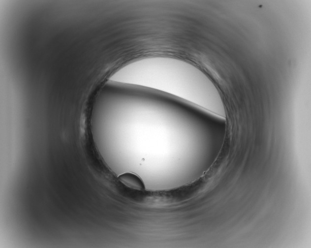 X0000099380211200805081206