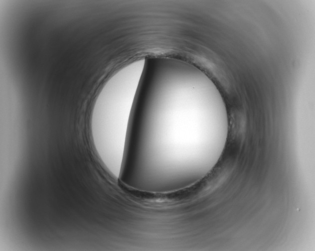 X0000099380212200805081206