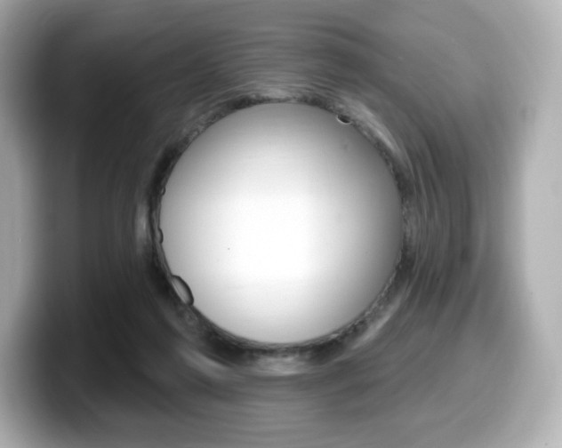 X0000099380213200805081206