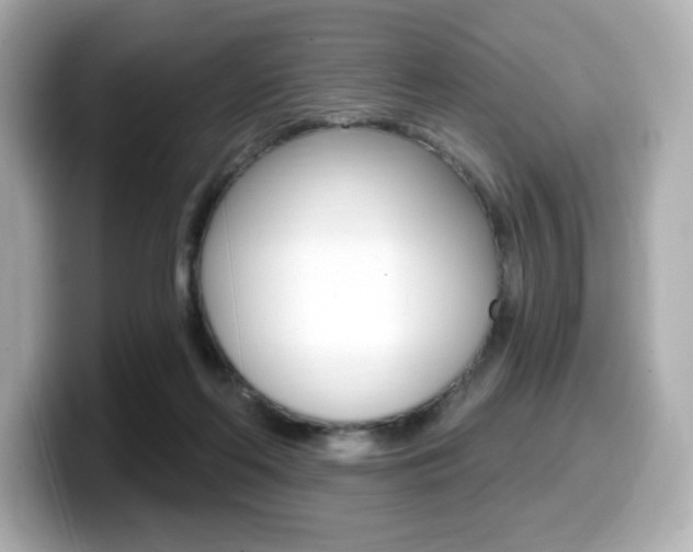 X0000099380214200805081206