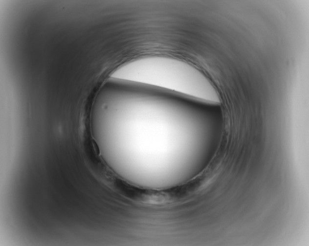 X0000099380215200805081206