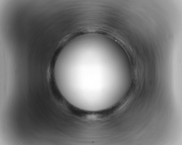 X0000099380216200805081206