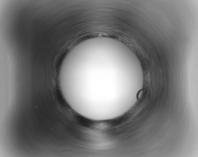 X0000099380218200805081206