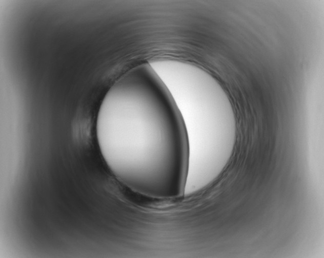 X0000099380219200805081206