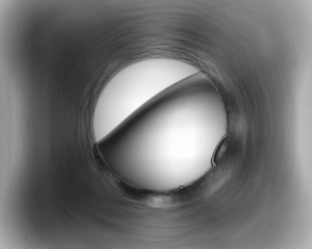 X0000099380220200805081206