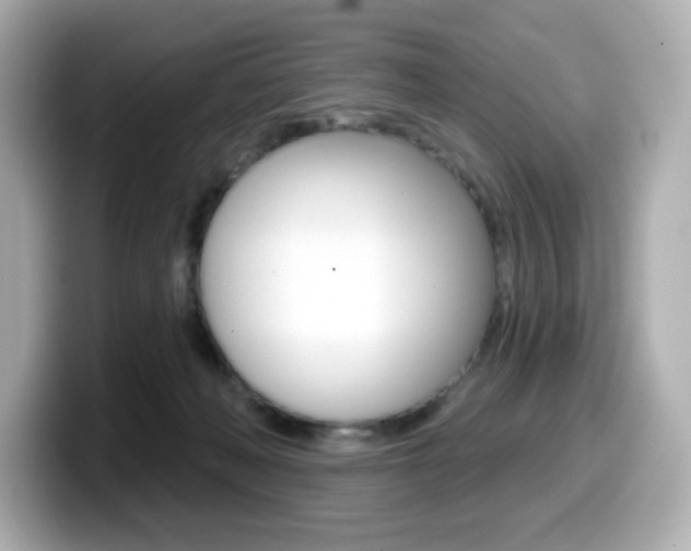 X0000099380222200805081206