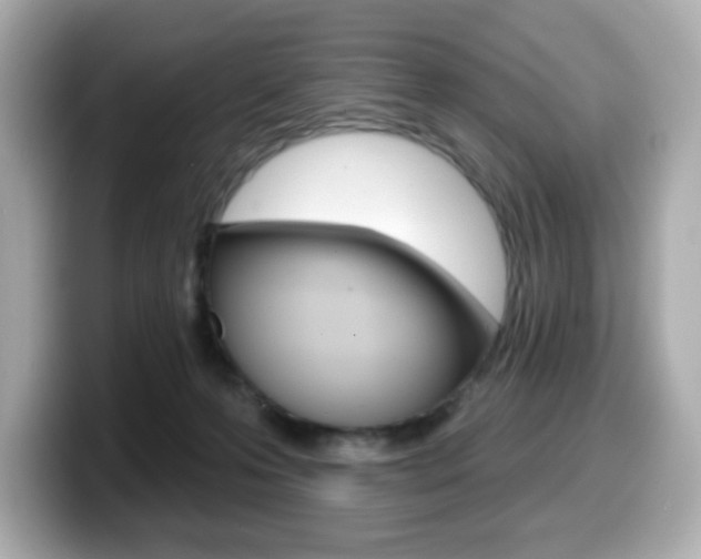 X0000099380223200805081206