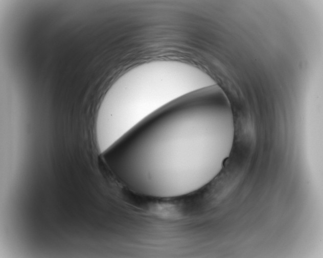 X0000099380224200805081206