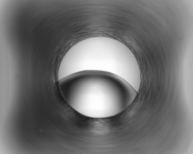 X0000099380229200805081206