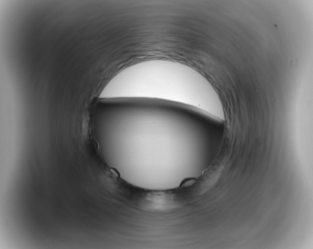X0000099380231200805081206