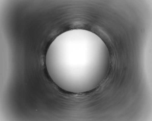 X0000099380232200805081206