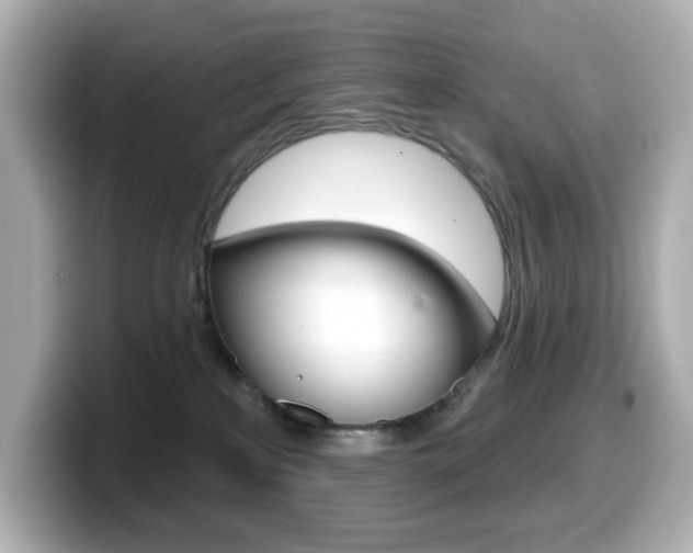 X0000099380233200805081206