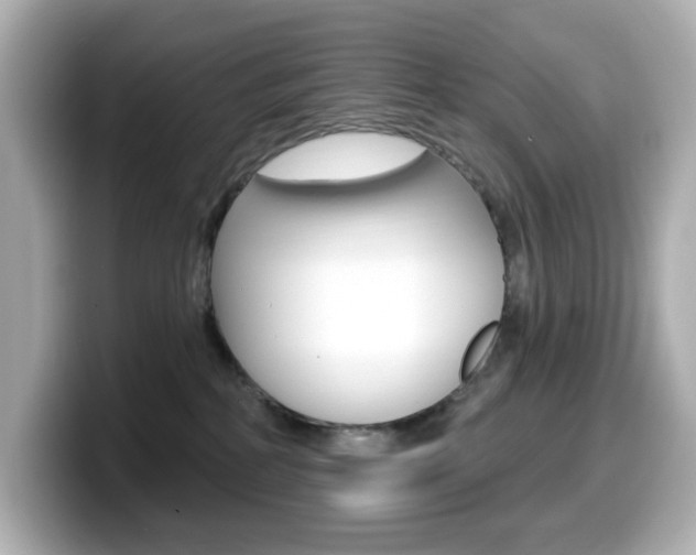 X0000099380234200805081206