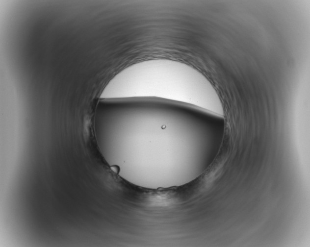 X0000099380235200805081206