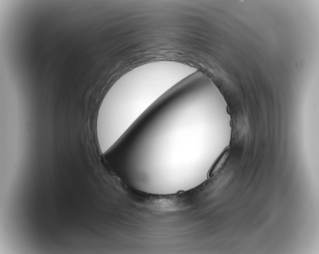 X0000099380236200805081206