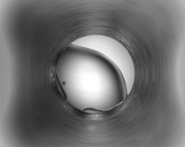 X0000099380237200805081206