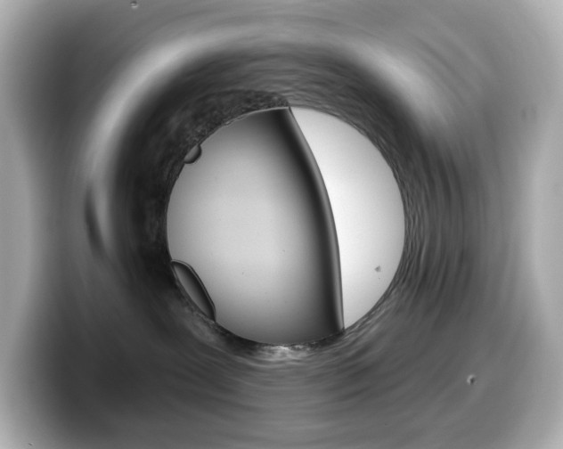 X0000099380239200805081206