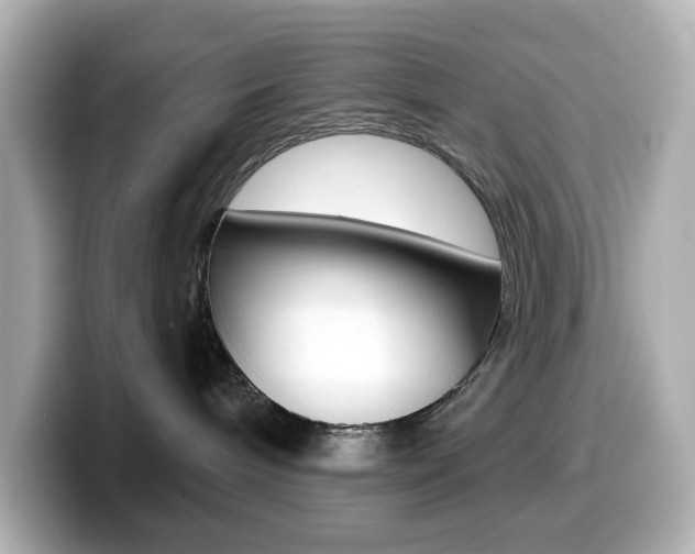 X0000099380240200805081206