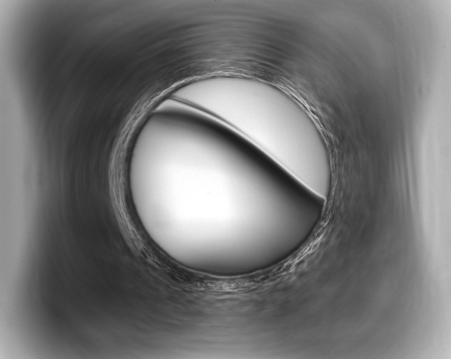X0000099380241200805081205
