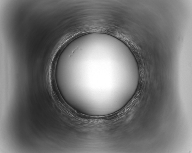 X0000099380242200805081205