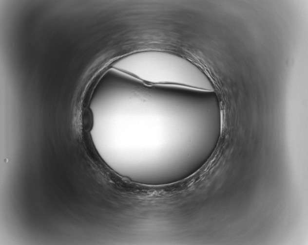 X0000099380243200805081205